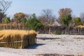 Mud straw and wooden hut with thatched roof in the bush. Local village in the rural Caprivi Strip, the most populated region in Na