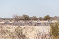 Mud straw and wooden hut with thatched roof in the bush. Local village in the rural Caprivi Strip, the most populated region in Na Royalty Free Stock Photo