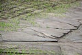 Mud streams after a heavy rain on a cornfield that destroyed part of the crop area of risk farming concept