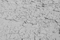 Mud texture, cracked grey surface