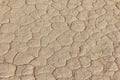 Mud texture of drying prism desiccation cracks in soil. Royalty Free Stock Photo