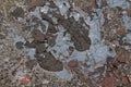 Mud texture or wet black soil as natural organic clay and geological sediment mixture as in roughing it in a dirty muddy country r Royalty Free Stock Photo