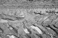 Mud texture or wet gray soil Royalty Free Stock Photo