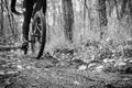 Mud tracks on a mountain bike trail in black and white Royalty Free Stock Photo