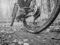 Mud tracks on a mountain bike trail Royalty Free Stock Photo