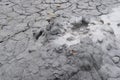 Mud Volcano with Active Bubbling and Emission of Geologic Material - Baratang island, Andaman Nicobar Islands, India