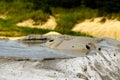 Mud volcano, Berca, Romania Royalty Free Stock Photo