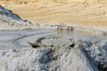 Mud volcano in Berca, Romania