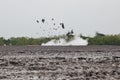 Mud volcano with bursting bubble bledug kuwu. volcanic plateau with geothermal activity and geysers, slow motion Indonesia java. Royalty Free Stock Photo