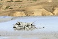 Mud volcano in Buzau, Romania