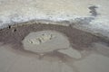 Bubbling mud. Mud volcano - landmark attraction in Buzau, Romania