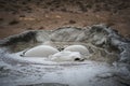 Mud Volcano at gobustan in Azerbaijan Royalty Free Stock Photo