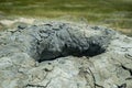 Mud volcano in the Krasnodar region of Russia.