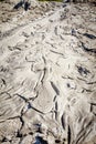 Mud volcano at Krasnodar state, Russia