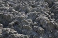 Mud volcano in Lokbatan near Baku. Azerbaijan Royalty Free Stock Photo