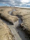 Mud volcano - texture in Buzau country Royalty Free Stock Photo