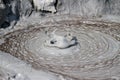 The mud volcanoes