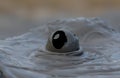 Mud volcanoes Royalty Free Stock Photo