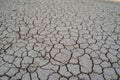 Mudcracks in a dry land Royalty Free Stock Photo
