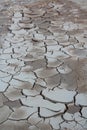 Mudcracks Royalty Free Stock Photo