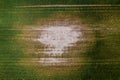 Mudcracks in soil after the flood in cultivated wheat field, aerial shot from drone pov Royalty Free Stock Photo