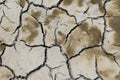 Mudcracks (summer) Royalty Free Stock Photo