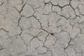 Mudcracks (summer) Royalty Free Stock Photo