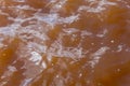 Muddy African river. Dirty body of water or lake. Frightening suspense. Royalty Free Stock Photo