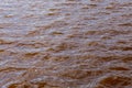 Muddy African river. Dirty body of water or lake. Frightening suspense Royalty Free Stock Photo