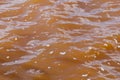 Muddy African river. Dirty body of water or lake. Frightening suspense Royalty Free Stock Photo