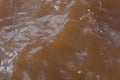 Muddy African river. Dirty body of water or lake. Frightening suspense Royalty Free Stock Photo