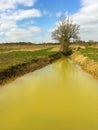 Muddy backwater