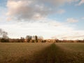 muddy brown pathway through farm field grass winter bare trees