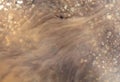 Muddy brown water in a puddle Royalty Free Stock Photo