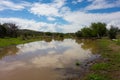 A muddy cattle pond in new mexico