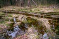 A muddy country road on the edge of the forest in early spring Royalty Free Stock Photo