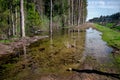 A muddy country road on the edge of the forest in early spring Royalty Free Stock Photo