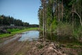 A muddy country road on the edge of the forest in early spring Royalty Free Stock Photo