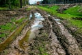 A muddy country road on the edge of the forest in early spring Royalty Free Stock Photo