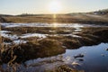 A muddy country road on the edge of the forest in early spring Royalty Free Stock Photo