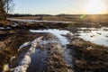 A muddy country road on the edge of the forest in early spring Royalty Free Stock Photo