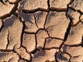 Muddy Cracks in the Arizona desert.