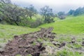 Muddy creek and valley oaks, Sierra Vista Open Space Preserve, California