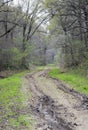 Muddy Dirt Road Royalty Free Stock Photo