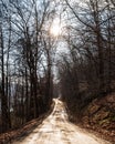 A muddy dirt road through the woods on in Deerfield Township, Pennsylvania, USA Royalty Free Stock Photo