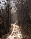 A muddy dirt road through the woods on in Deerfield Township, Pennsylvania, USA Royalty Free Stock Photo