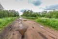 Muddy dirty road through forest with puddles