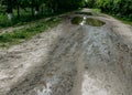 Muddy dirty road