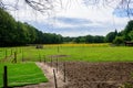 Muddy field in the forest where horses walk in Afferden, Netherlands