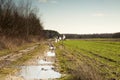 Muddy, field road and a field of winter wheat in March, landscap